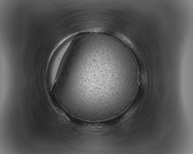 X0000086760532200705041450