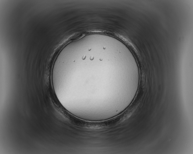 X0000086760533200705041450