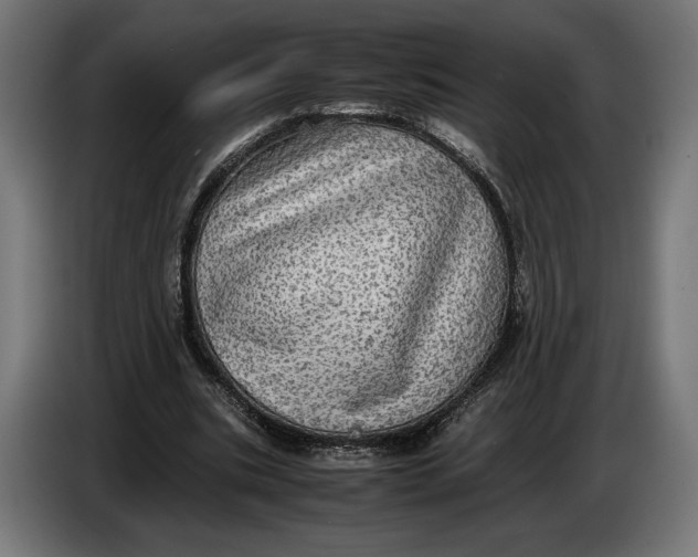 X0000086760535200705041450