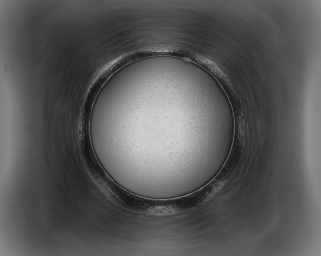 X0000086760536200705041450