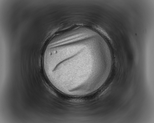 X0000086760537200705041450