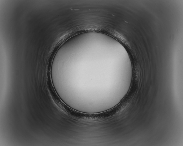 X0000086760538200705041450