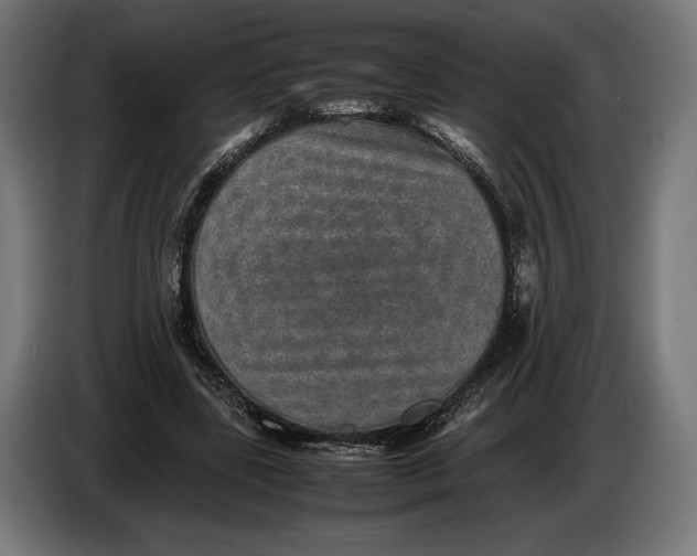 X0000086760539200705041450