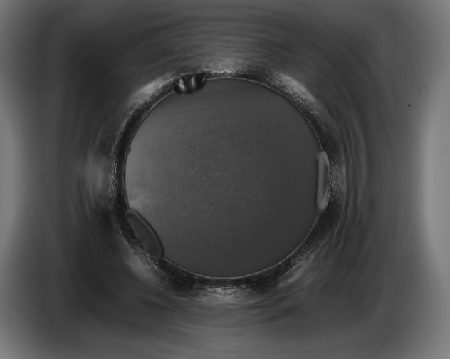 X0000086760540200705041450