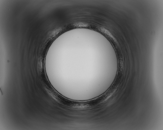 X0000086760541200705041450