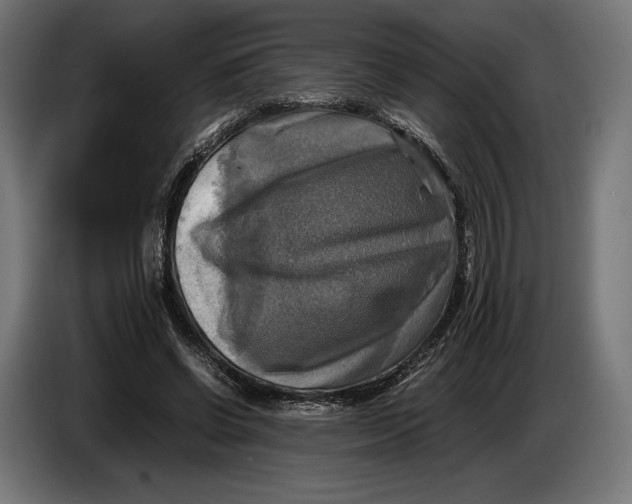 X0000086760542200705041450