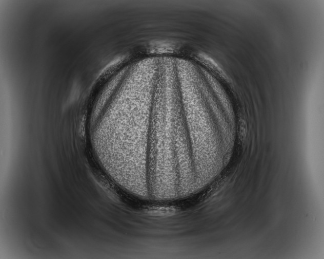 X0000086760543200705041450