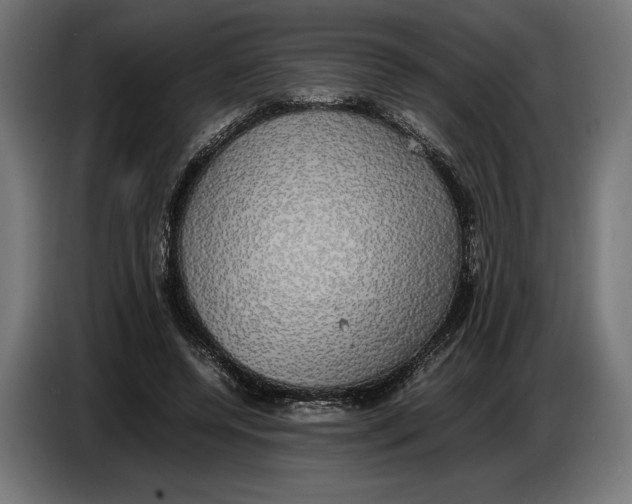 X0000086760544200705041450