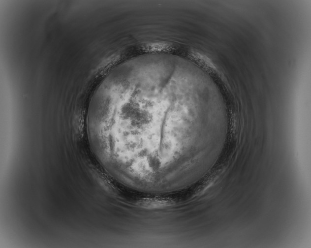 X0000086760545200705041450