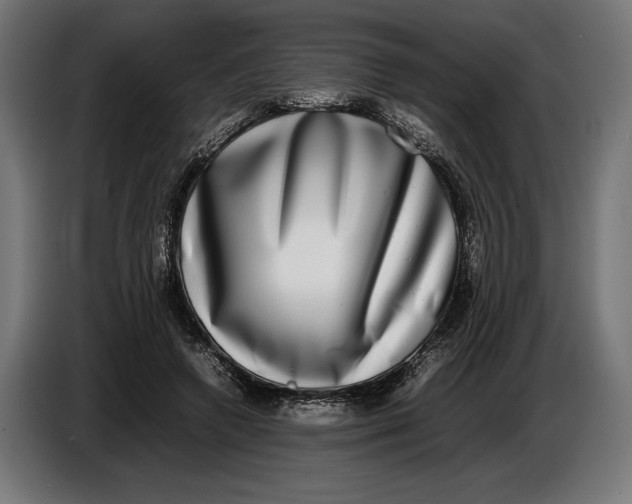 X0000086760546200705041450