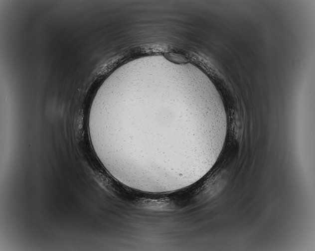 X0000086760548200705041450