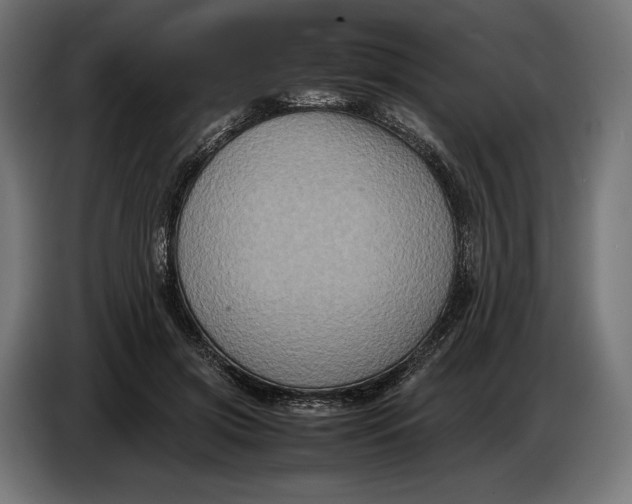 X0000086760549200705041450