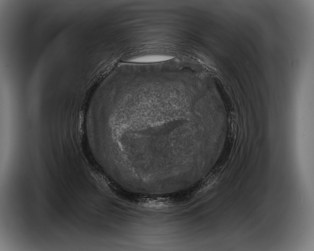 X0000086760550200705041450