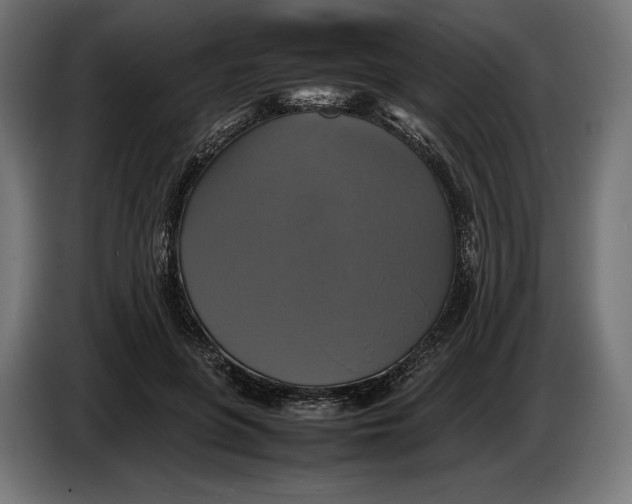 X0000086760551200705041450