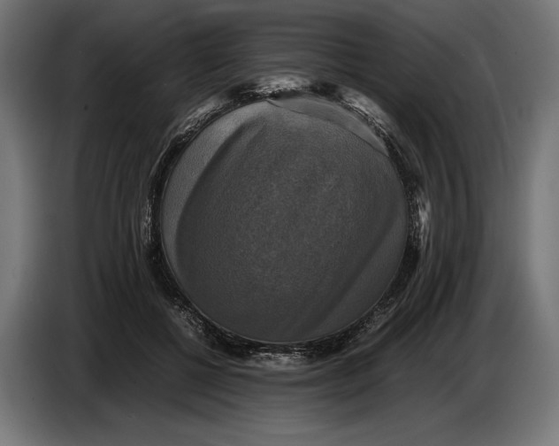 X0000086760552200705041450