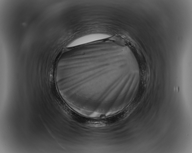 X0000086760553200705041450