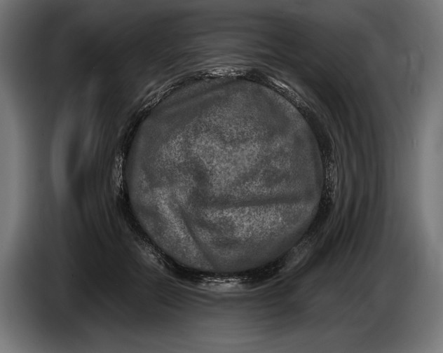 X0000086760554200705041450