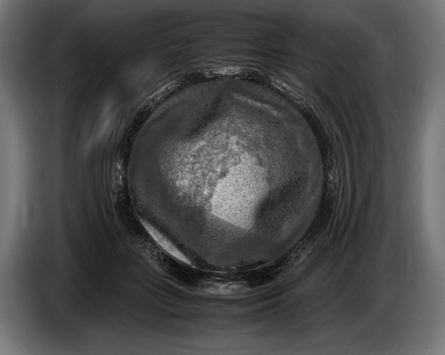 X0000086760555200705041450