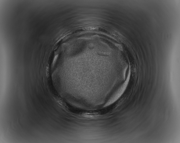 X0000086760556200705041450