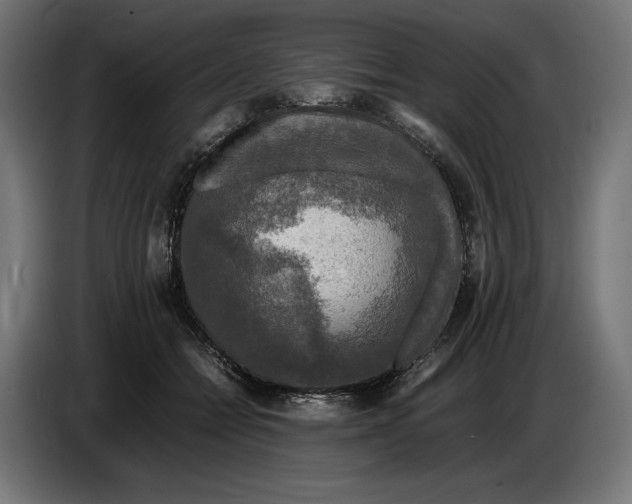 X0000086760558200705041450