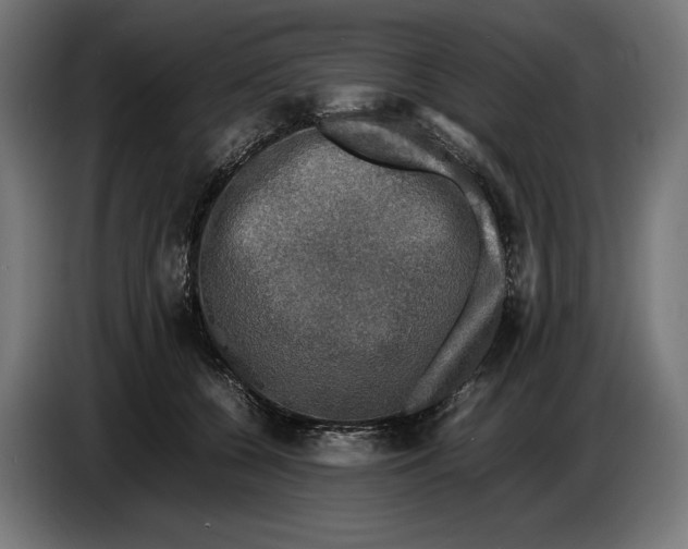 X0000086760560200705041450