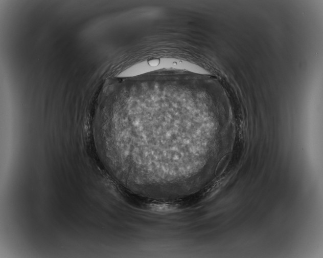 X0000086760561200705041450