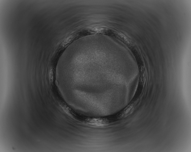 X0000086760562200705041450