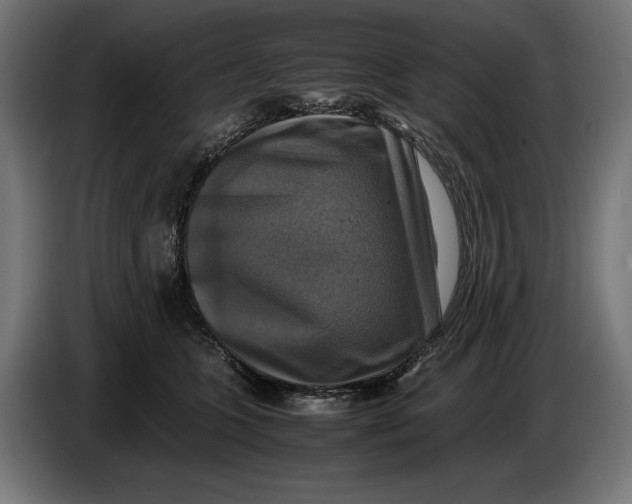 X0000086760563200705041450