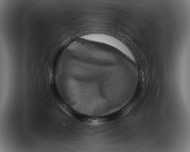 X0000086760564200705041450