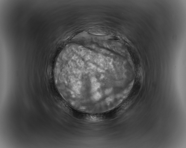 X0000086760565200705041450