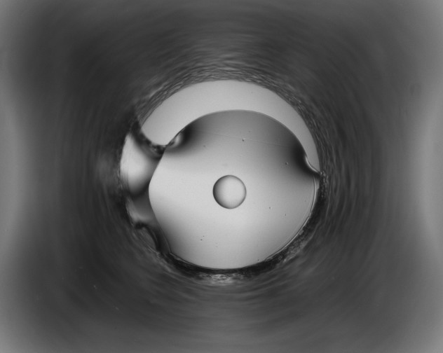 X0000086760566200705041450