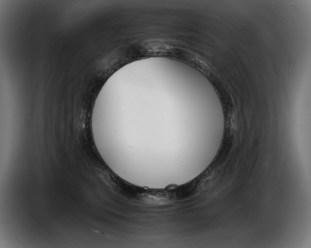 X0000086760567200705041450