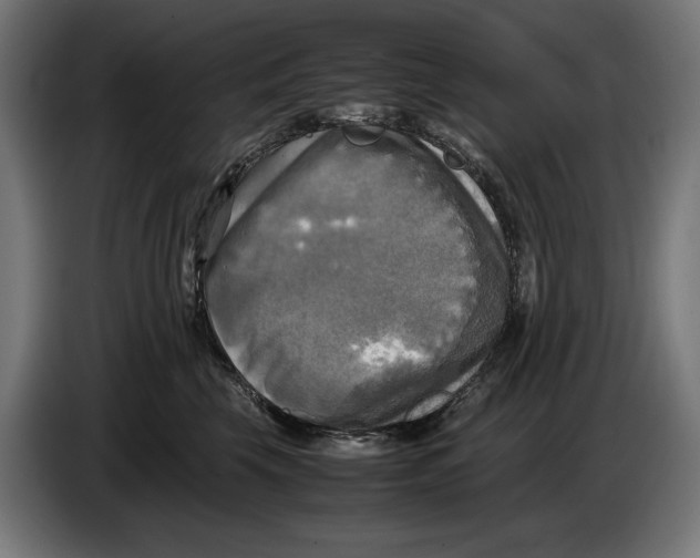 X0000086760569200705041450