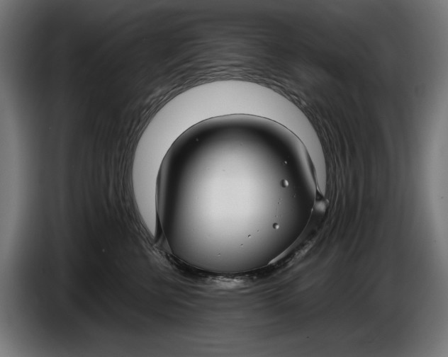 X0000086760570200705041450