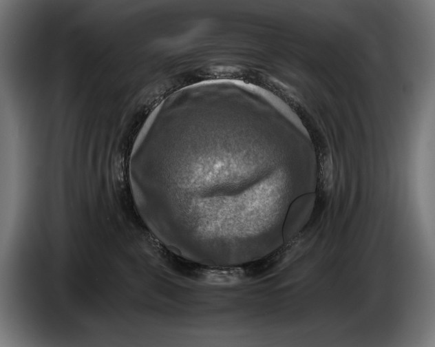 X0000086760571200705041450