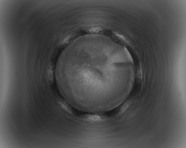 X0000086760572200705041450