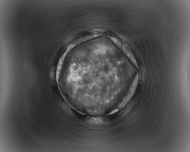 X0000086760573200705041450