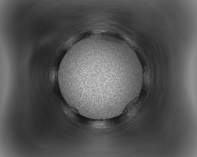 X0000086760574200705041450