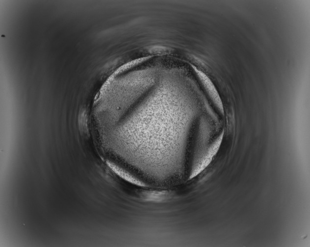 X0000086760575200705041450