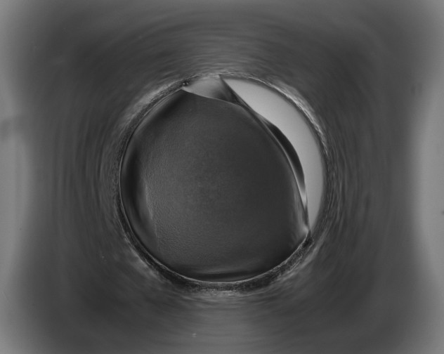 X0000086760577200705041450