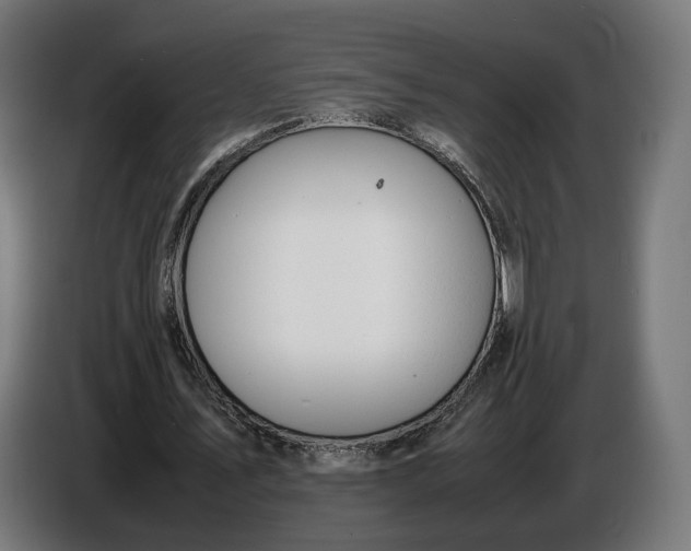 X0000086760579200705041450