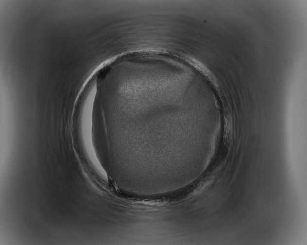 X0000086760580200705041450