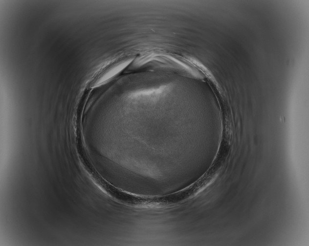 X0000086760581200705041450