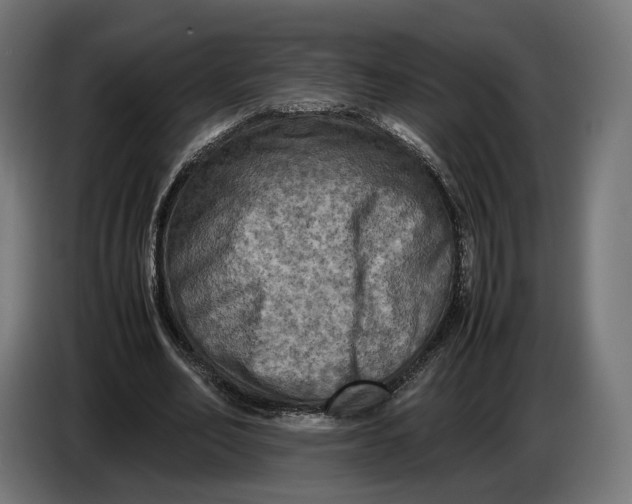 X0000086760582200705041450