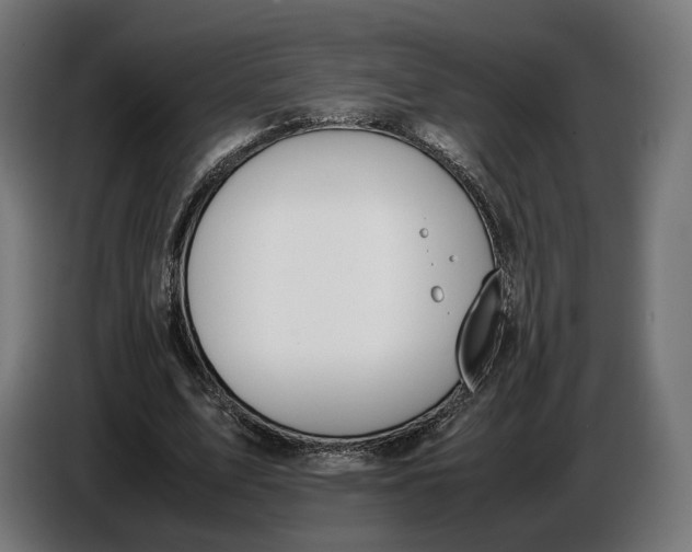 X0000086760583200705041450