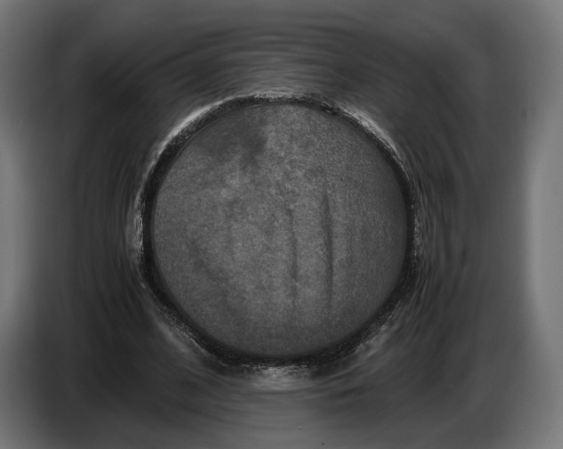 X0000086760584200705041450