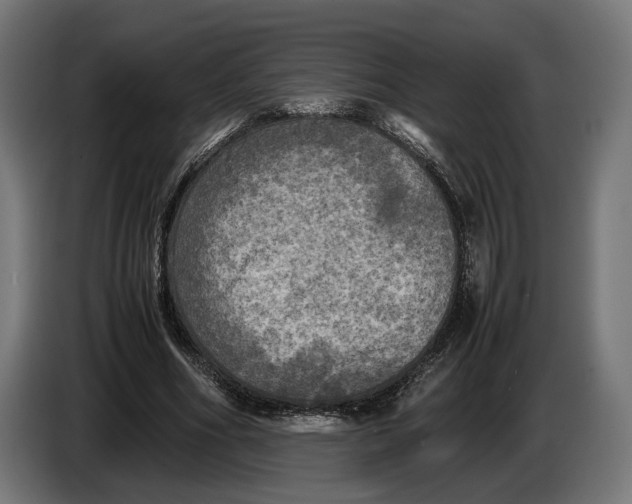 X0000086760586200705041450