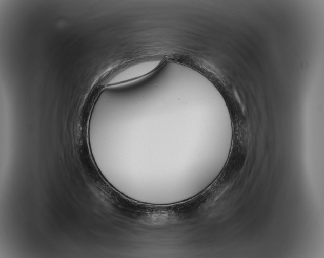 X0000086760587200705041450