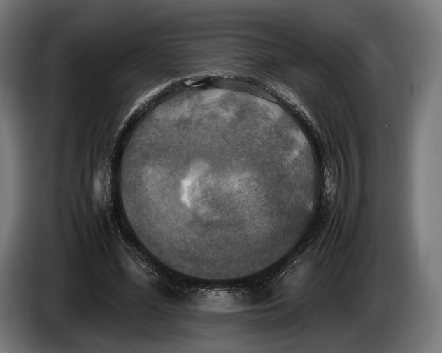 X0000086760588200705041450