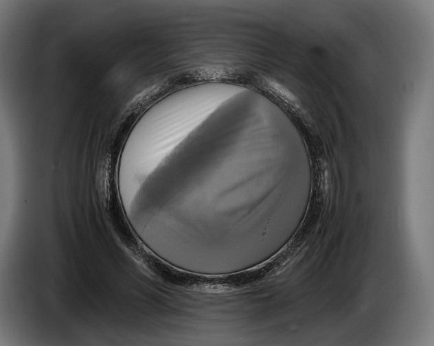 X0000086760590200705041450